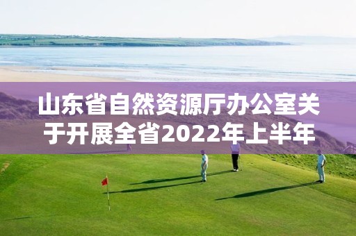 山東省自然資源廳辦公室關于開展全省2022年上半年自然資源監測工作的通知