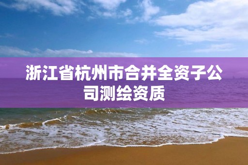 浙江省杭州市合并全資子公司測繪資質