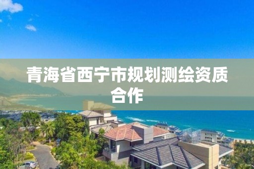 青海省西寧市規(guī)劃測(cè)繪資質(zhì)合作