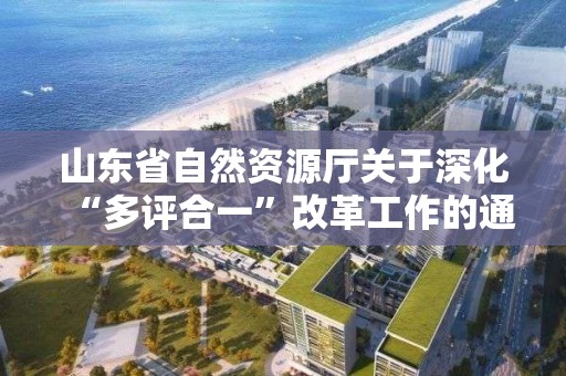 山東省自然資源廳關于深化“多評合一”改革工作的通知