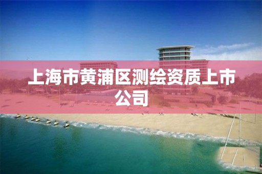 上海市黃浦區測繪資質上市公司