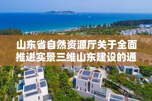 山東省自然資源廳關于全面推進實景三維山東建設的通知