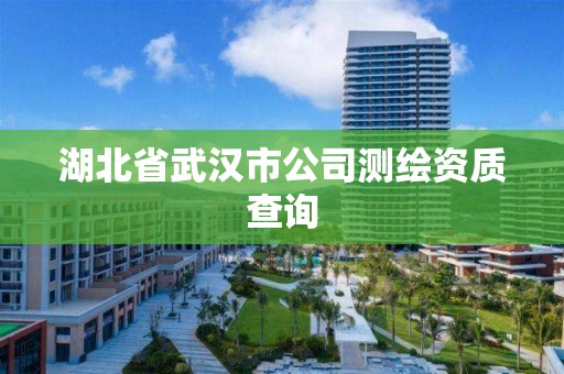 湖北省武漢市公司測繪資質查詢