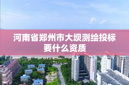 河南省鄭州市大壩測繪投標要什么資質