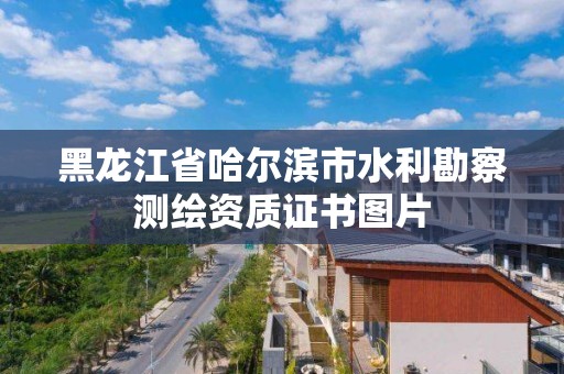 黑龍江省哈爾濱市水利勘察測(cè)繪資質(zhì)證書圖片