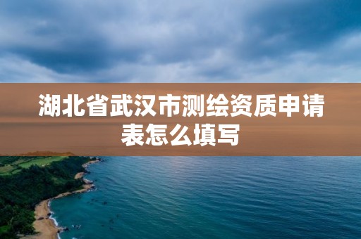 湖北省武漢市測繪資質申請表怎么填寫