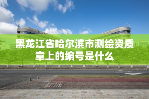 黑龍江省哈爾濱市測繪資質章上的編號是什么