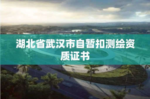 湖北省武漢市自暫扣測繪資質證書