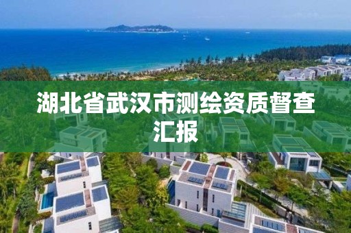 湖北省武漢市測繪資質督查匯報