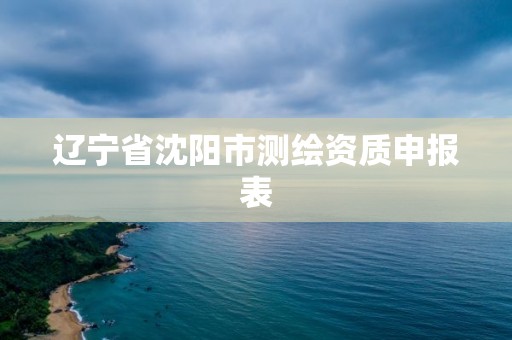 遼寧省沈陽市測繪資質申報表