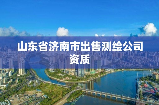 山東省濟南市出售測繪公司資質