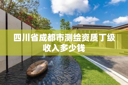 四川省成都市測繪資質丁級收入多少錢