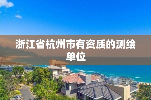 浙江省杭州市有資質的測繪單位