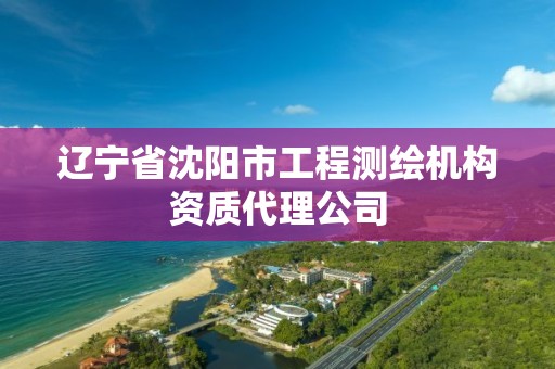 遼寧省沈陽市工程測繪機構資質代理公司