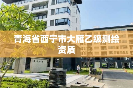 青海省西寧市大雁乙級測繪資質