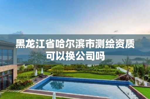 黑龍江省哈爾濱市測繪資質可以換公司嗎