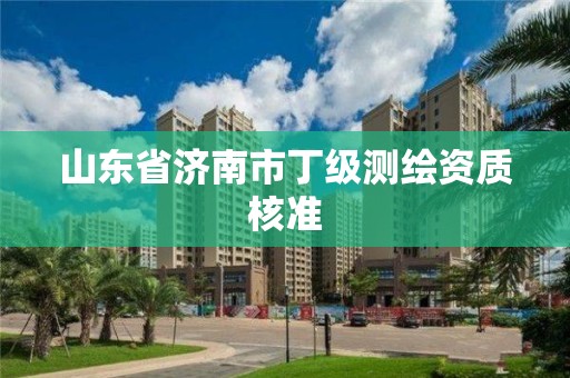 山東省濟南市丁級測繪資質核準