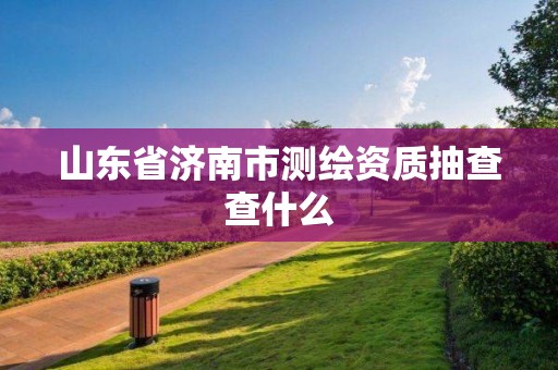 山東省濟(jì)南市測(cè)繪資質(zhì)抽查查什么