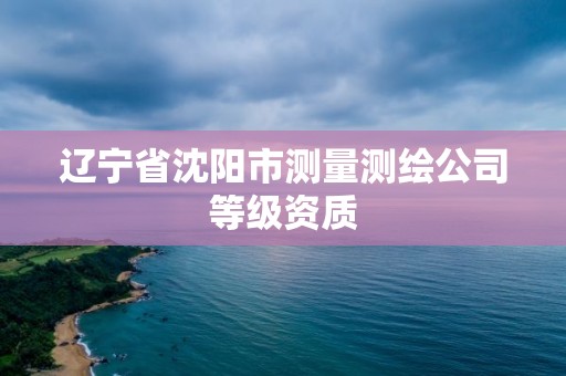 遼寧省沈陽市測量測繪公司等級資質