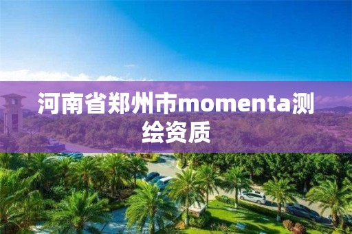 河南省鄭州市momenta測繪資質