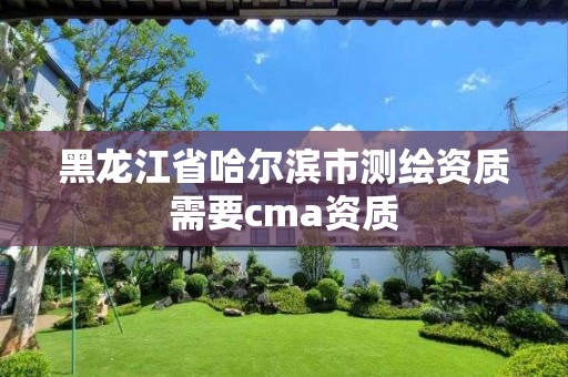 黑龍江省哈爾濱市測繪資質(zhì)需要cma資質(zhì)