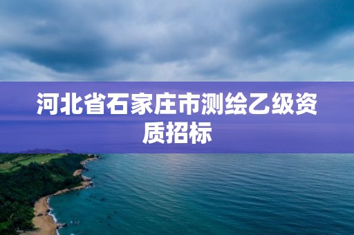 河北省石家莊市測(cè)繪乙級(jí)資質(zhì)招標(biāo)