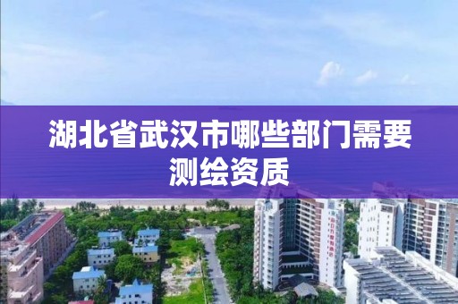 湖北省武漢市哪些部門需要測繪資質