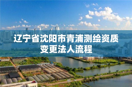 遼寧省沈陽市青浦測繪資質變更法人流程