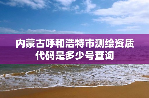 內蒙古呼和浩特市測繪資質代碼是多少號查詢