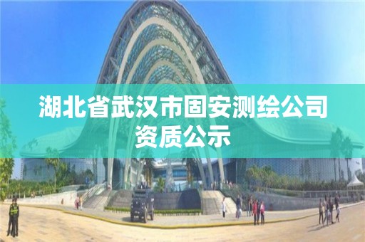 湖北省武漢市固安測繪公司資質公示