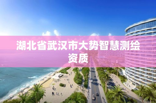 湖北省武漢市大勢智慧測繪資質(zhì)