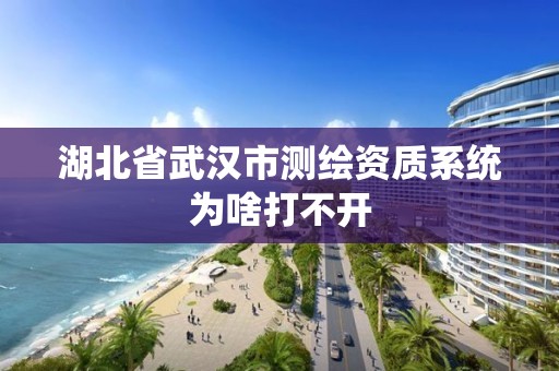 湖北省武漢市測繪資質系統為啥打不開