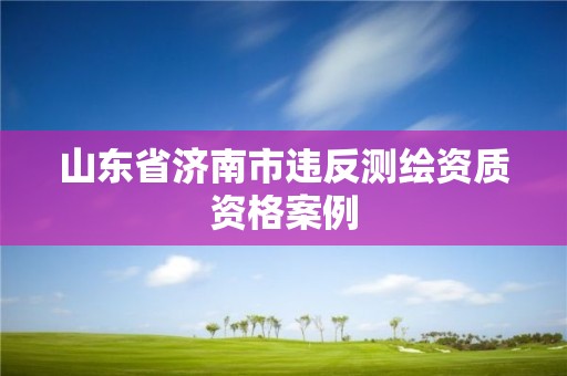 山東省濟南市違反測繪資質資格案例