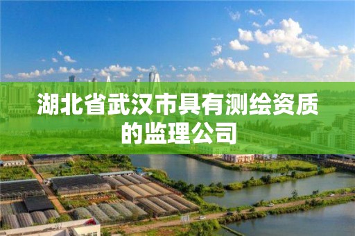 湖北省武漢市具有測繪資質的監理公司