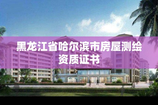 黑龍江省哈爾濱市房屋測繪資質證書