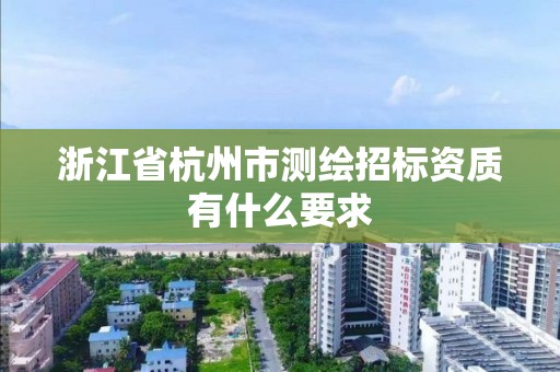 浙江省杭州市測繪招標資質有什么要求