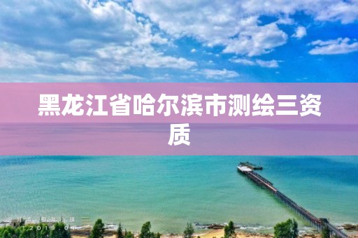 黑龍江省哈爾濱市測繪三資質