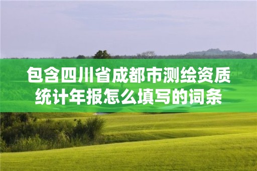 包含四川省成都市測繪資質統計年報怎么填寫的詞條