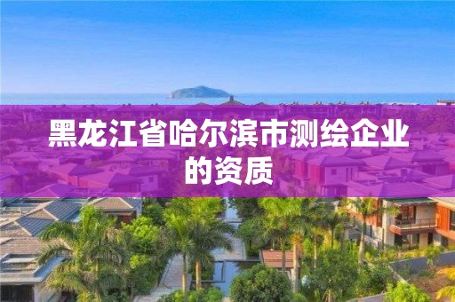 黑龍江省哈爾濱市測繪企業的資質