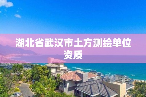 湖北省武漢市土方測繪單位資質