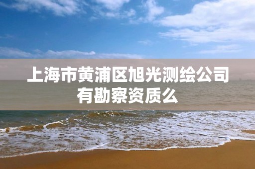 上海市黃浦區旭光測繪公司有勘察資質么