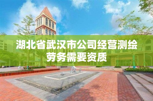 湖北省武漢市公司經營測繪勞務需要資質