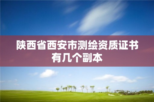 陜西省西安市測繪資質證書有幾個副本