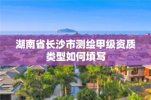 湖南省長沙市測繪甲級資質類型如何填寫