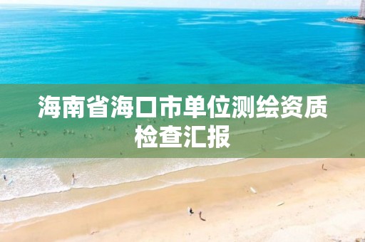 海南省海口市單位測繪資質(zhì)檢查匯報