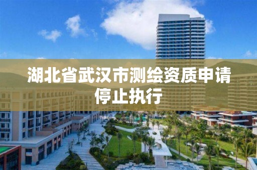 湖北省武漢市測繪資質申請停止執行