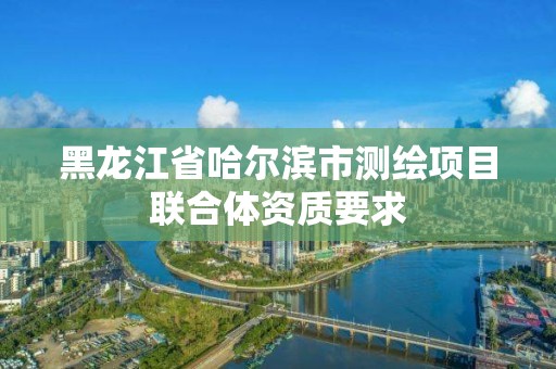 黑龍江省哈爾濱市測繪項目聯合體資質要求