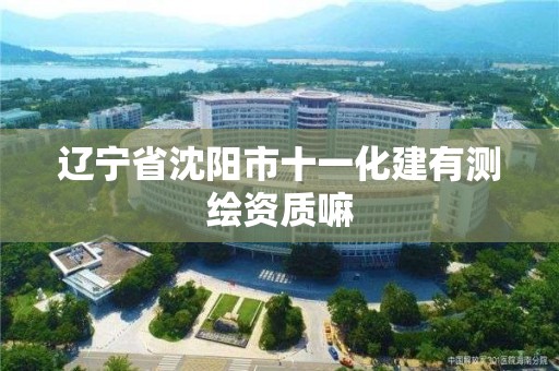 遼寧省沈陽(yáng)市十一化建有測(cè)繪資質(zhì)嘛