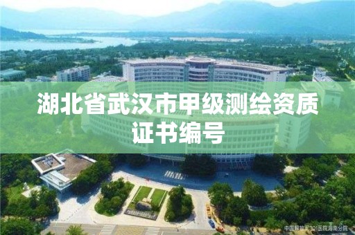 湖北省武漢市甲級測繪資質證書編號