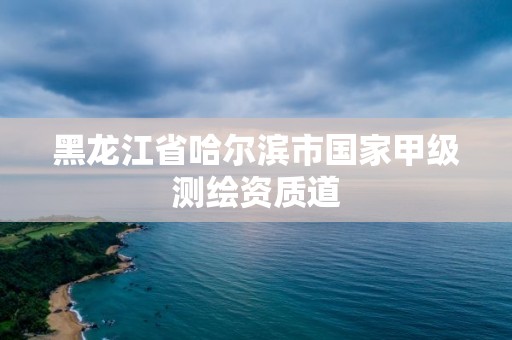 黑龍江省哈爾濱市國(guó)家甲級(jí)測(cè)繪資質(zhì)道